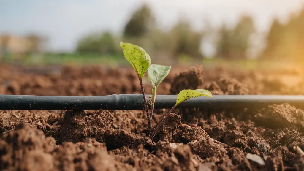 Smart Farming with IoT-based Irrigation Systems: Optimization, Automation, and Efficiency